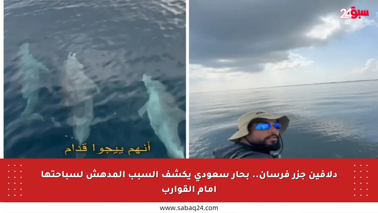 دلافين جزر فرسان.. بحار سعودي يكشف السبب المدهش لسباحتها أمام القوارب